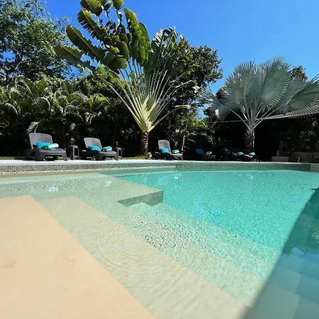 Luxury Villa In Playa Del Carmen Breakfast Shuttle Included! Private Pool Garden Private Area 5 Min 5Ta Beach 22 Pax